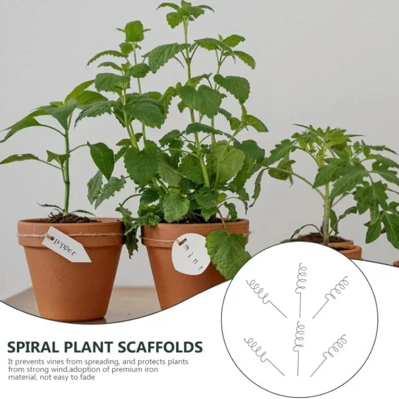 Bonsai Garden Plants - Soporte para Plantas Trepadoras, Estaca Espiral