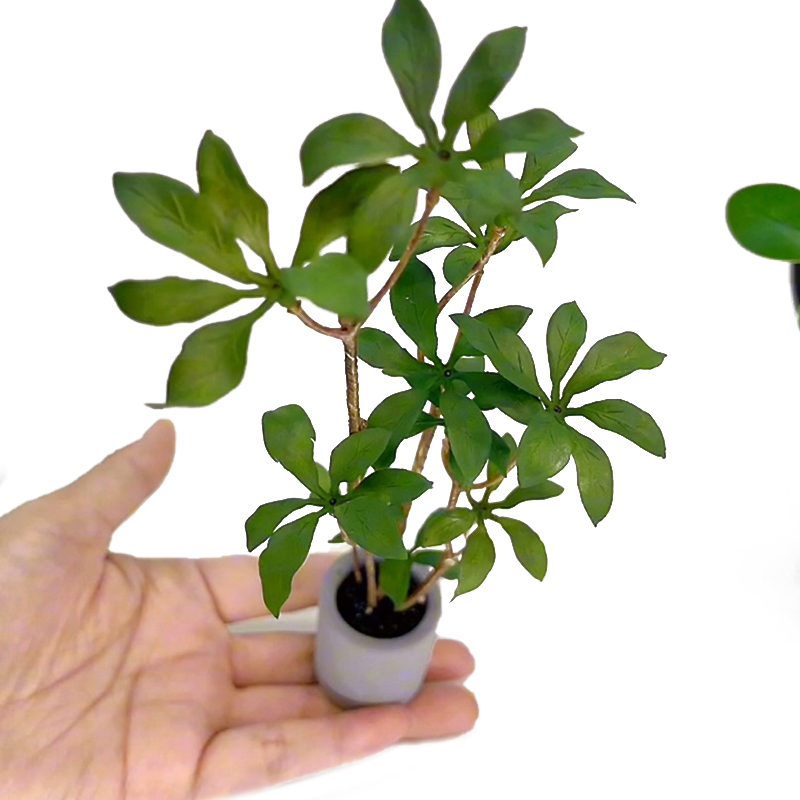 Bonsai Garden Plants - Modelo de plantas en maceta en