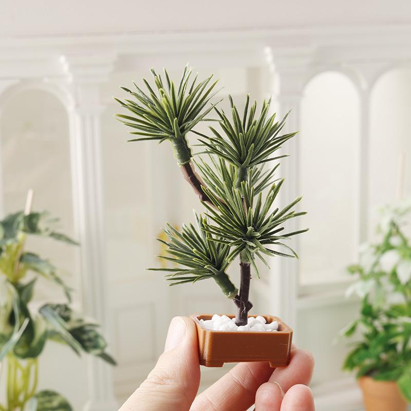Bonsai Garden Plants - 1 unidad de árbol de pino