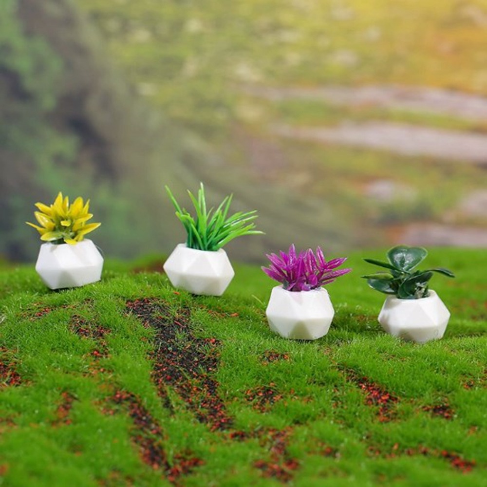 Bonsai Garden Plants - Planta en maceta en miniatura para
