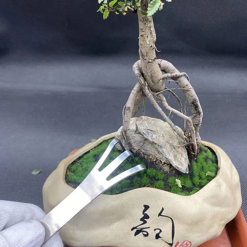Bonsai Garden Rake - Rastrillo de raíz de acero inoxidable,