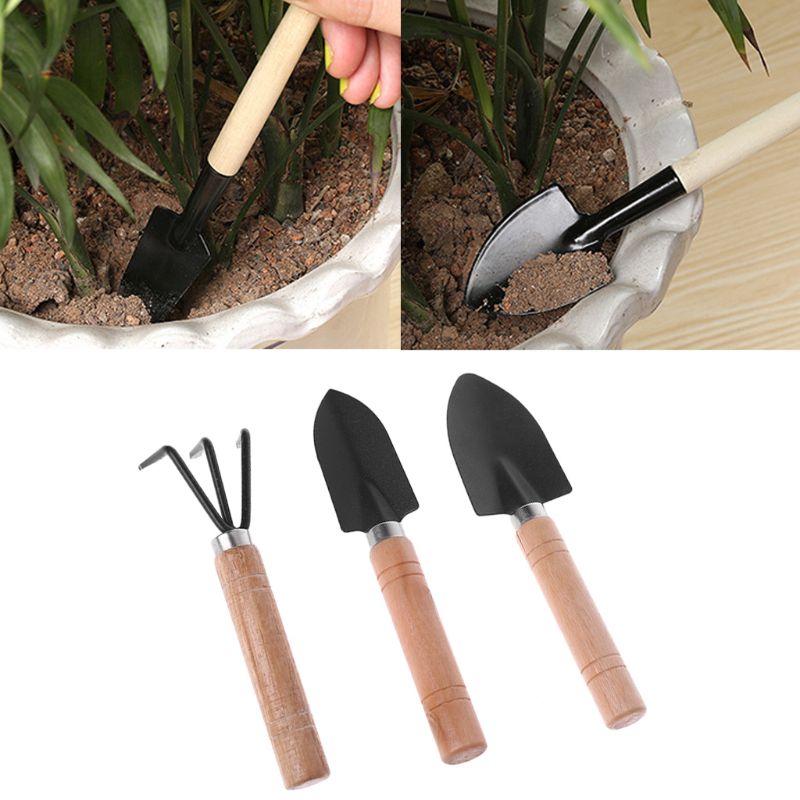 Mini pala de jardín, rastrillo - Bonsai Garden Rake reseña y precio
