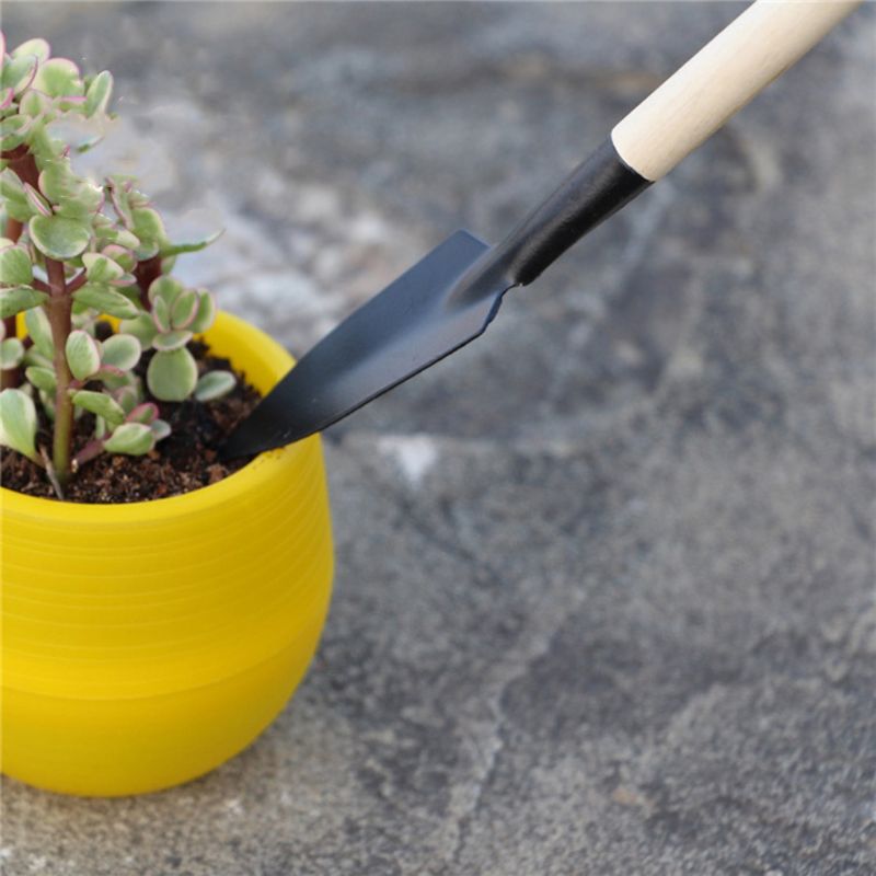 Mini pala de jardín, rastrillo - Bonsai Garden Rake reseña y precio