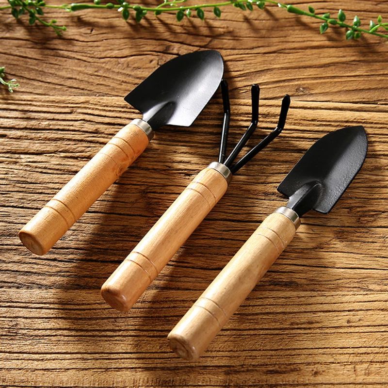 Mini pala de jardín, rastrillo - Bonsai Garden Rake reseña y precio