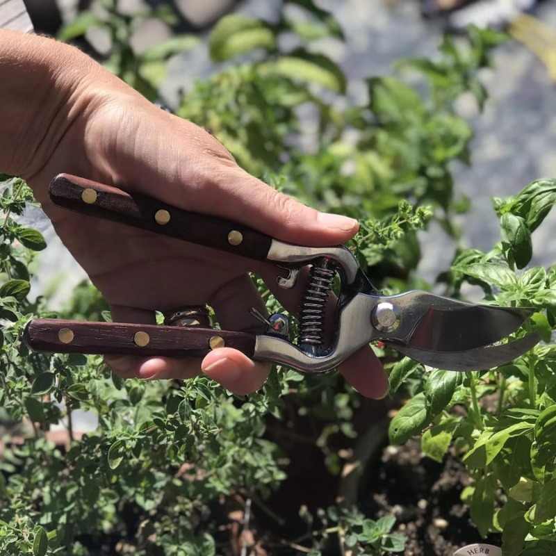 Tijeras de podar con mango de  - Bonsai Garden Knife reseña y precio
