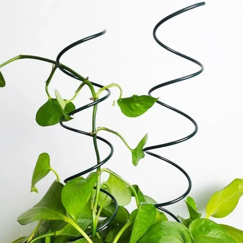 Soporte para Plantas Trepadora - Bonsai Garden Plants reseña y precio