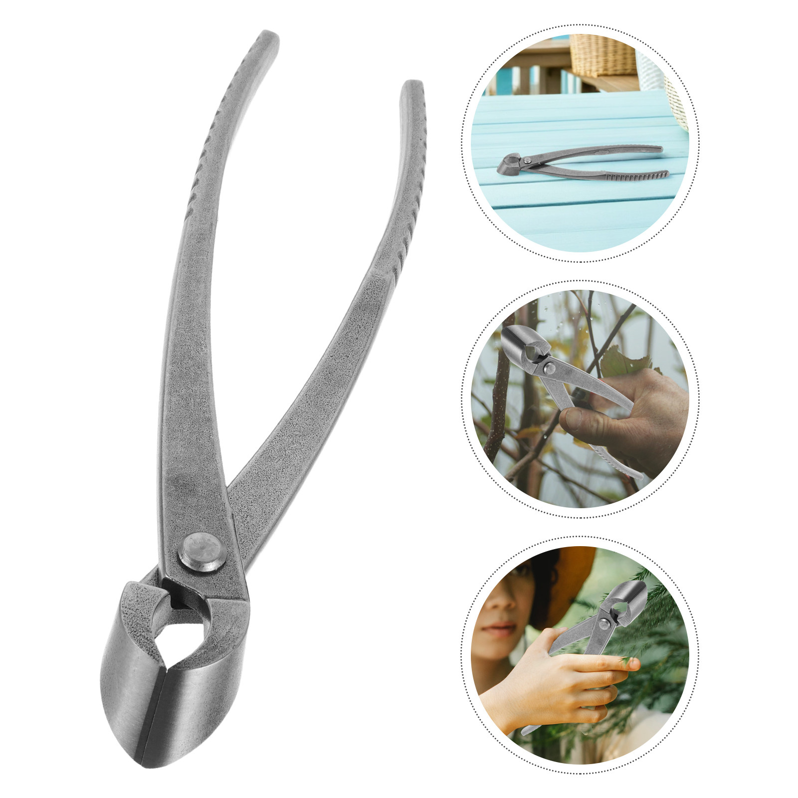 Tijeras para Bonsái, Herramien - Bonsai Garden Knife reseña y precio