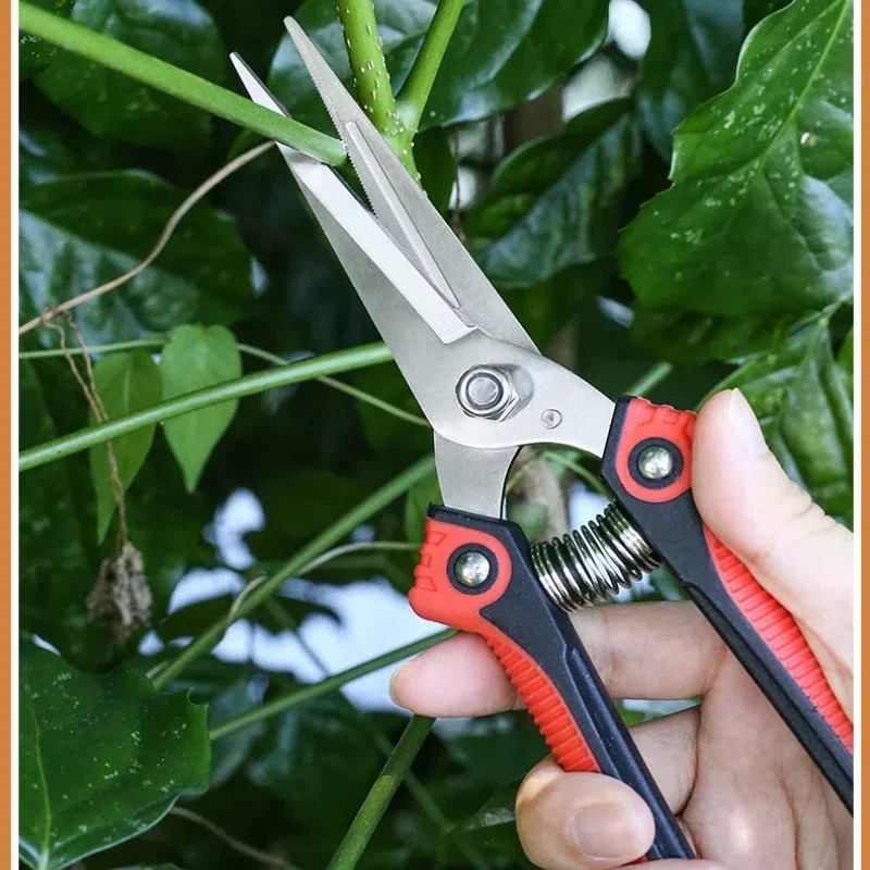 Tijeras de Podar NEWSHARK de A - Bonsai Garden Knife reseña y precio