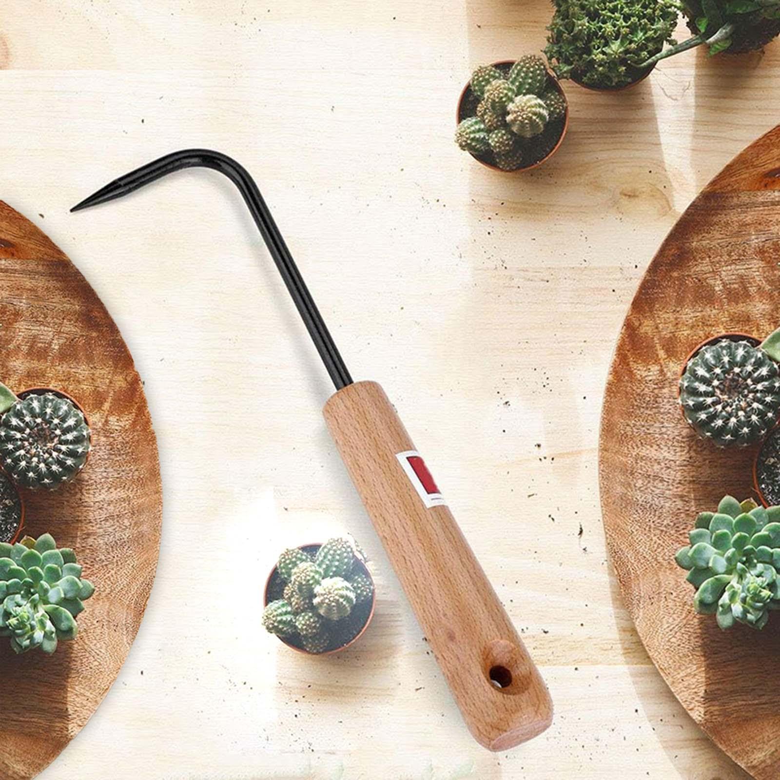Gancho para Raíces de Bonsái R - Bonsai Garden Rake reseña y precio