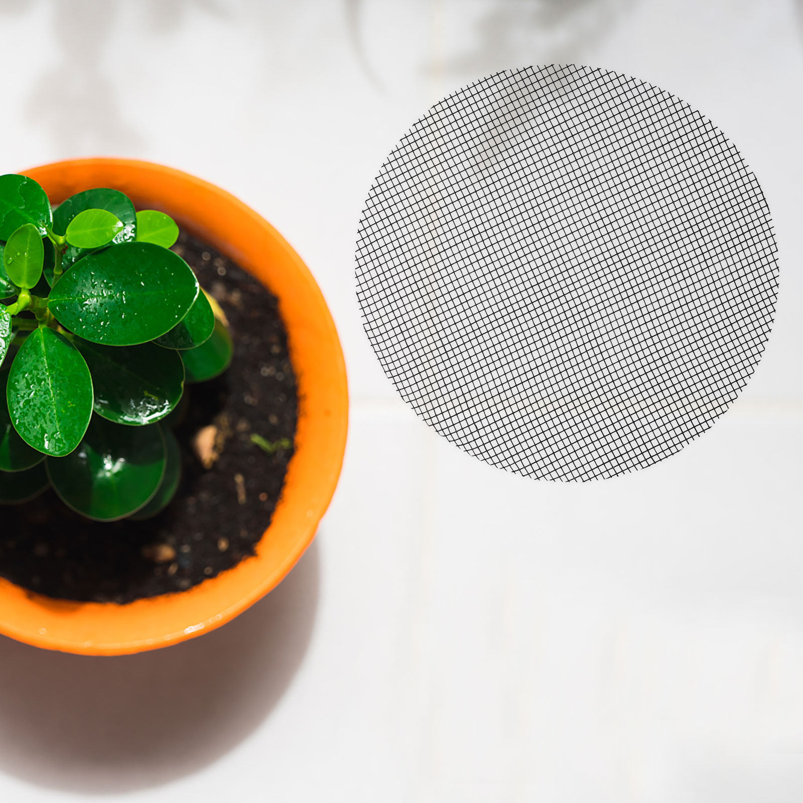 50 Piezas de Malla Redonda par - Bonsai Garden Plants reseña y precio