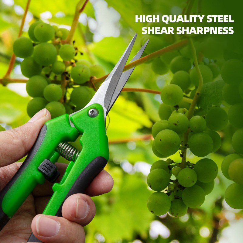 AIRAJ tijeras de 7 pulgadas pa - Bonsai Garden Knife reseña y precio