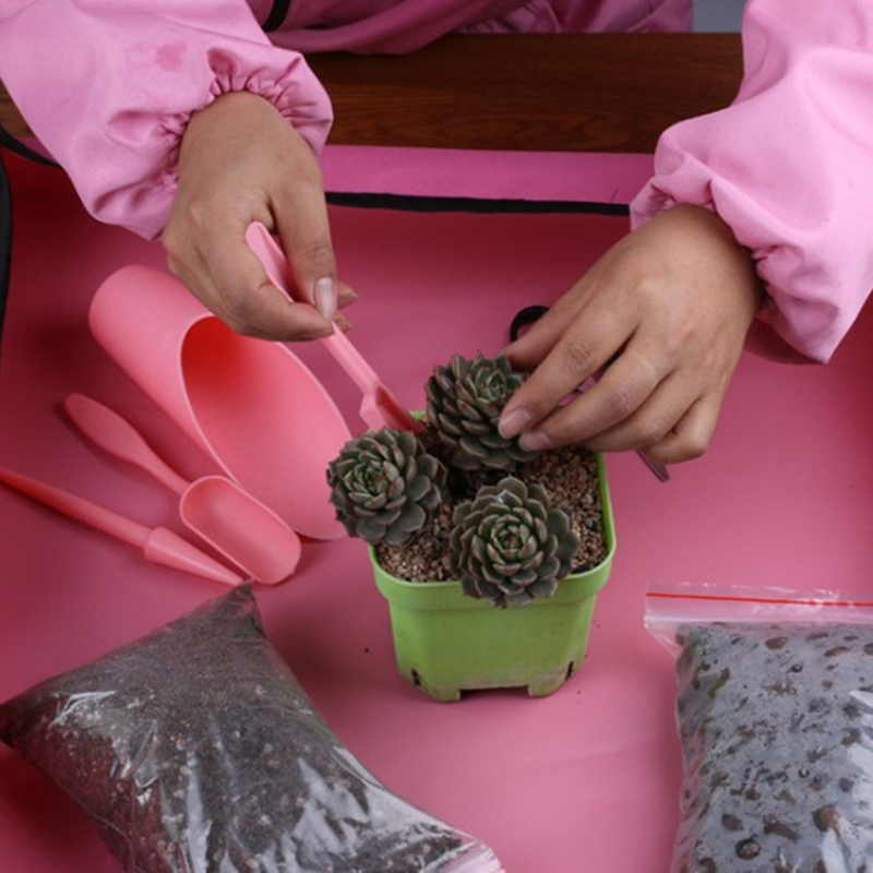 4 unids/set Kit de macetero de - Bonsai Garden Plants reseña y precio