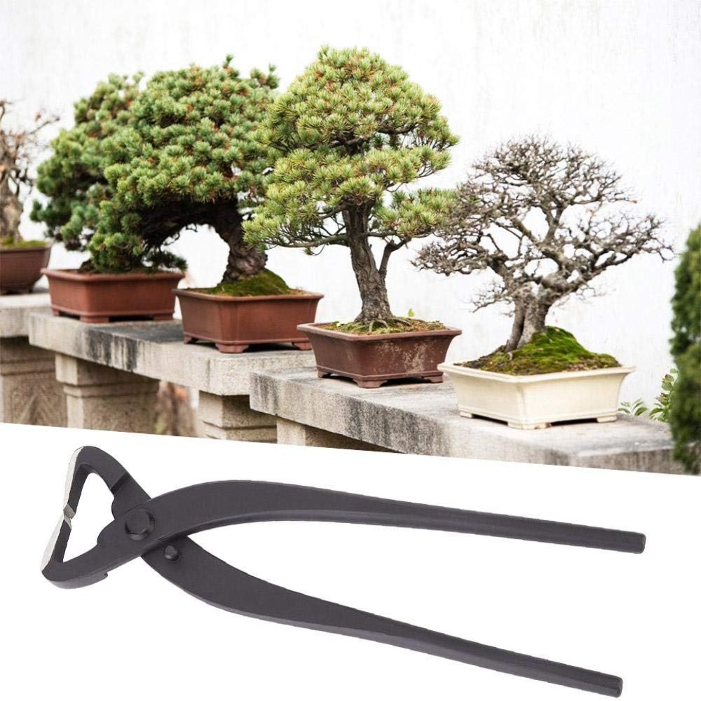 Cortador de troncos de bonsái  - Bonsai Garden Knife reseña y precio