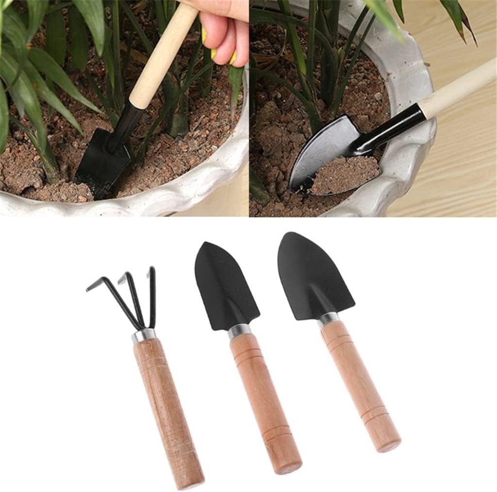 Juego de 3 herramientas de jar - Bonsai Garden Rake reseña y precio