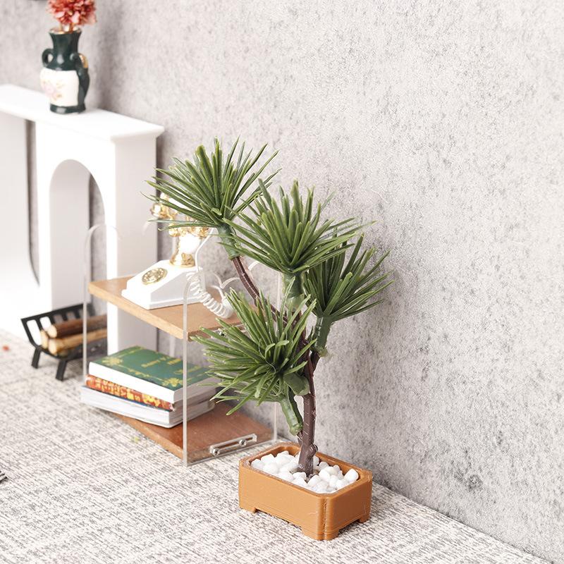 1 unidad de árbol de pino de s - Bonsai Garden Plants reseña y precio