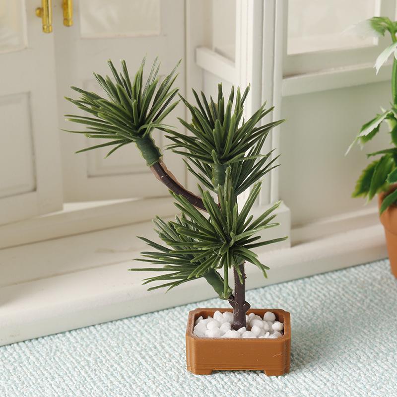 1 unidad de árbol de pino de s - Bonsai Garden Plants reseña y precio