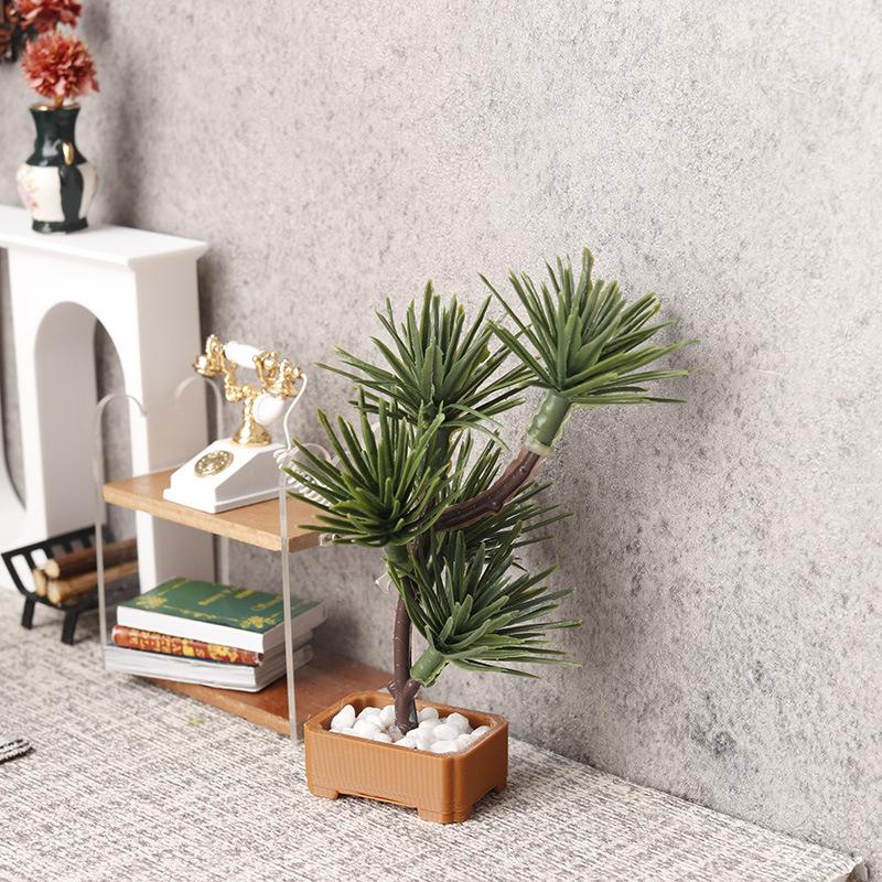 1 unidad de árbol de pino de s - Bonsai Garden Plants reseña y precio