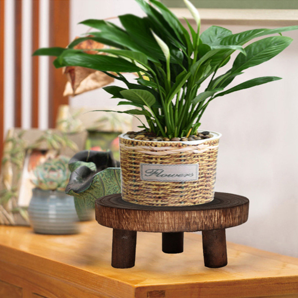 Soporte de madera para plantas - Bonsai Garden Longwood Gardens reseña y precio