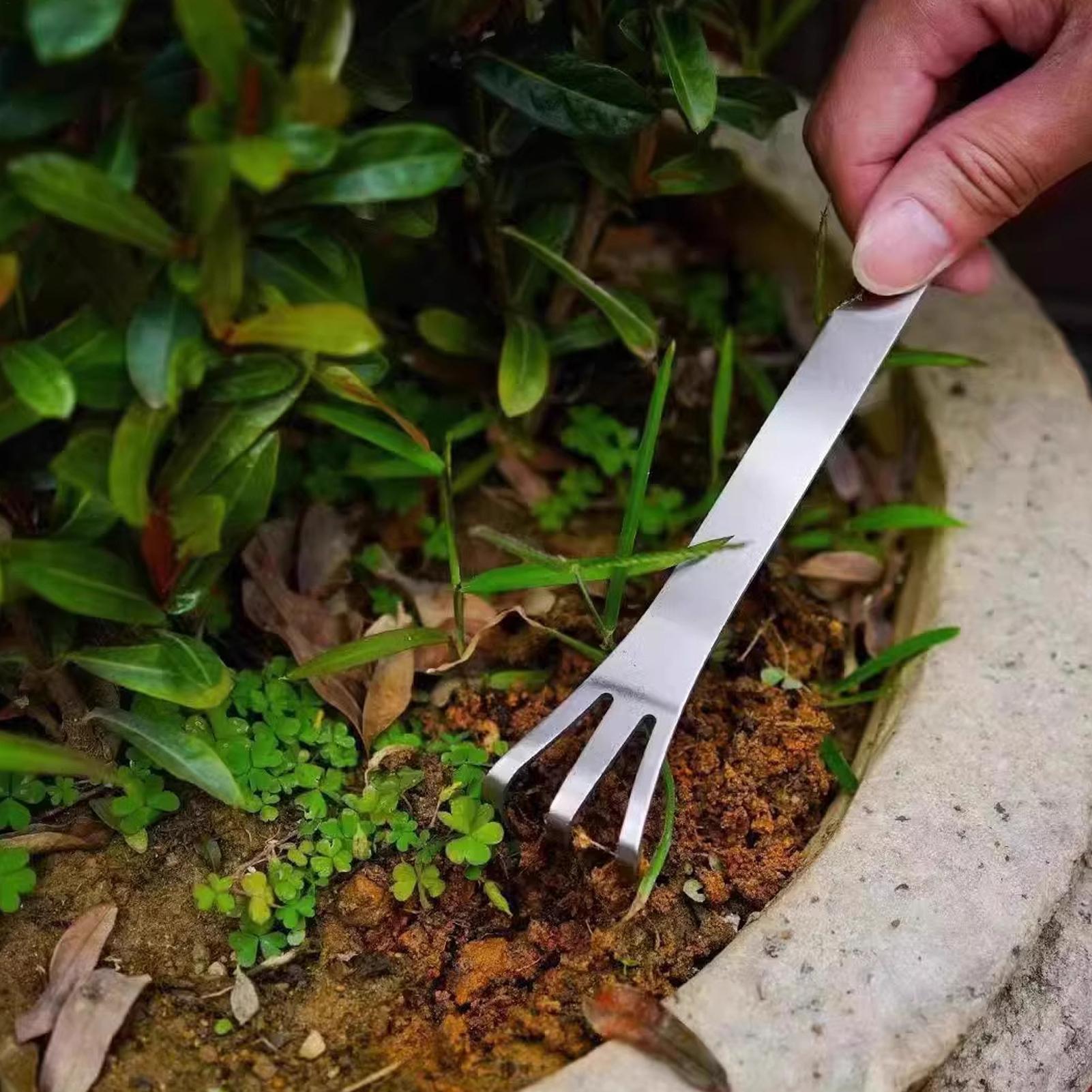 Rastrillo para bonsái de acero - Bonsai Garden Rake reseña y precio
