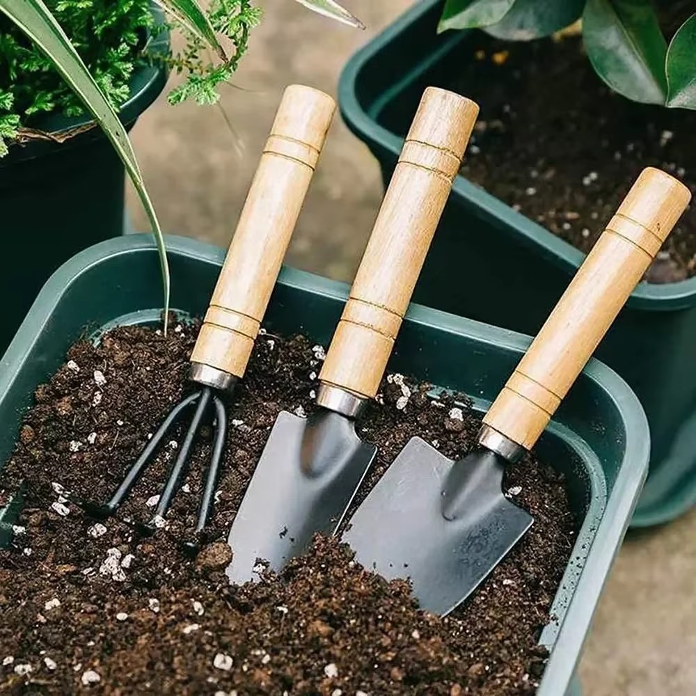 Juego de 3 herramientas de jar - Soil Scoop Tool reseña y precio