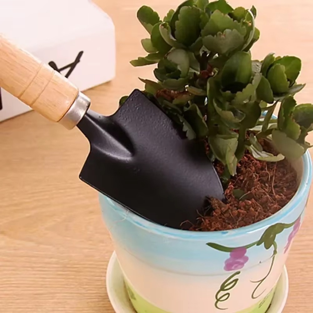 Juego de 3 herramientas de jar - Soil Scoop Tool reseña y precio