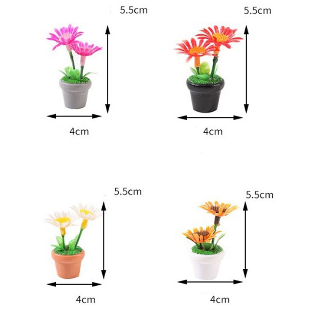 Planta en maceta en miniatura  - Bonsai Garden Plants reseña y precio