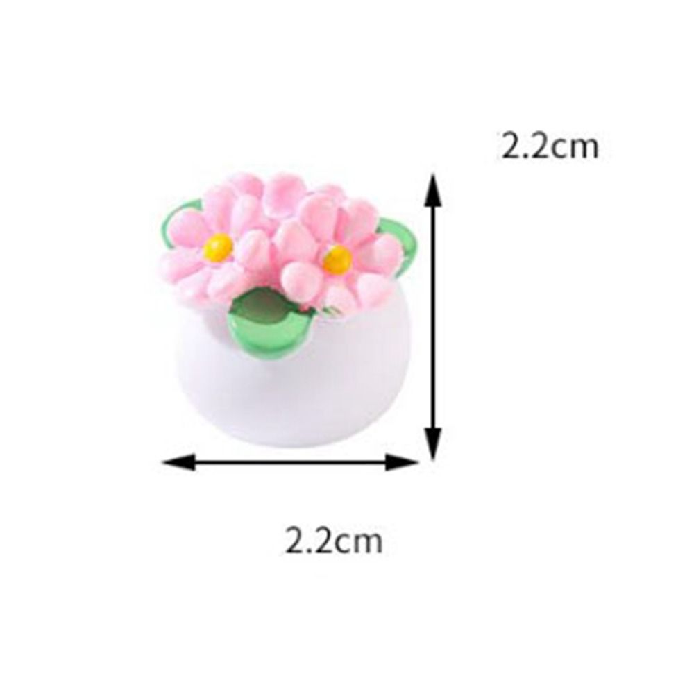 Planta en maceta en miniatura  - Bonsai Garden Plants reseña y precio