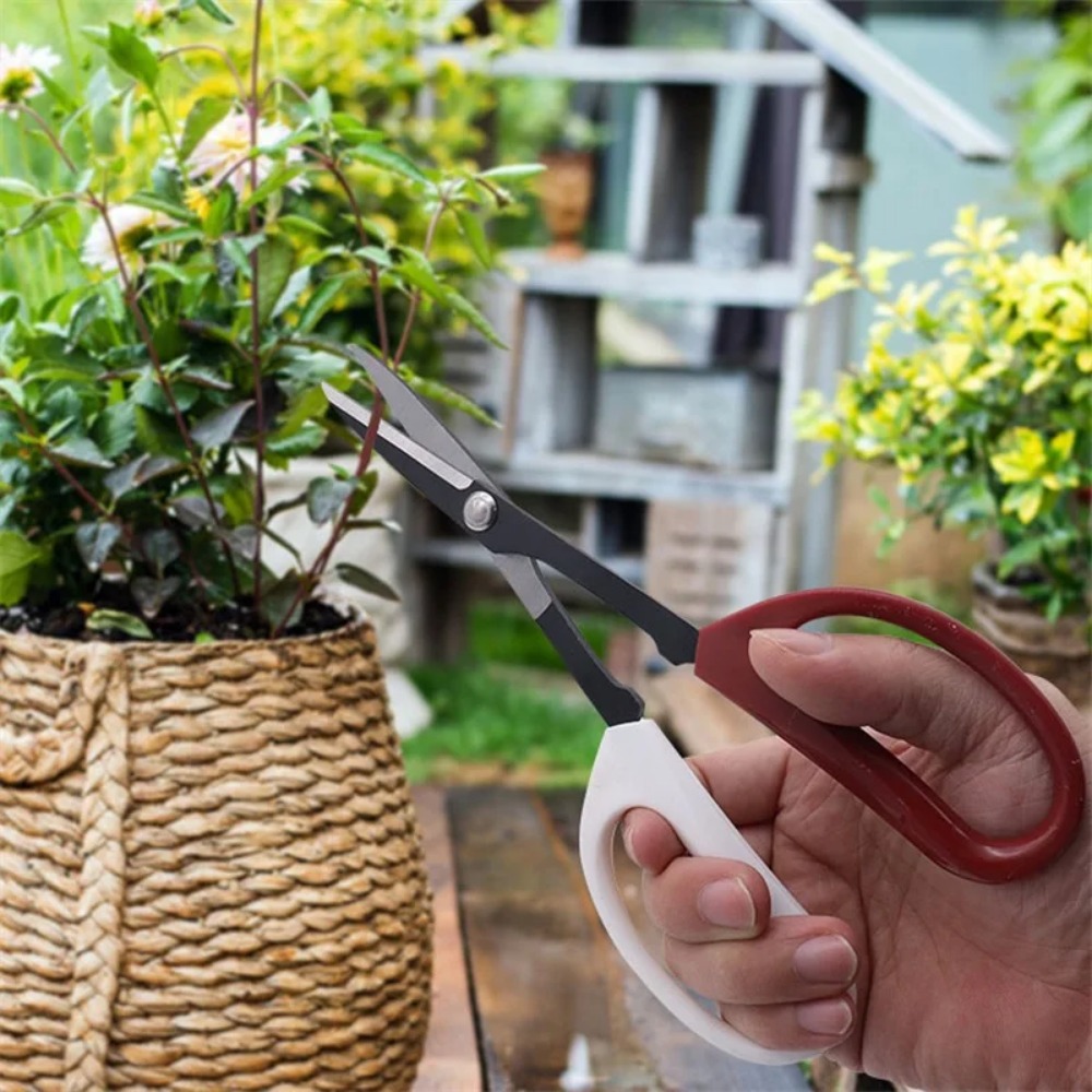 Herramienta para bonsái, tijer - Bonsai Garden Knife reseña y precio