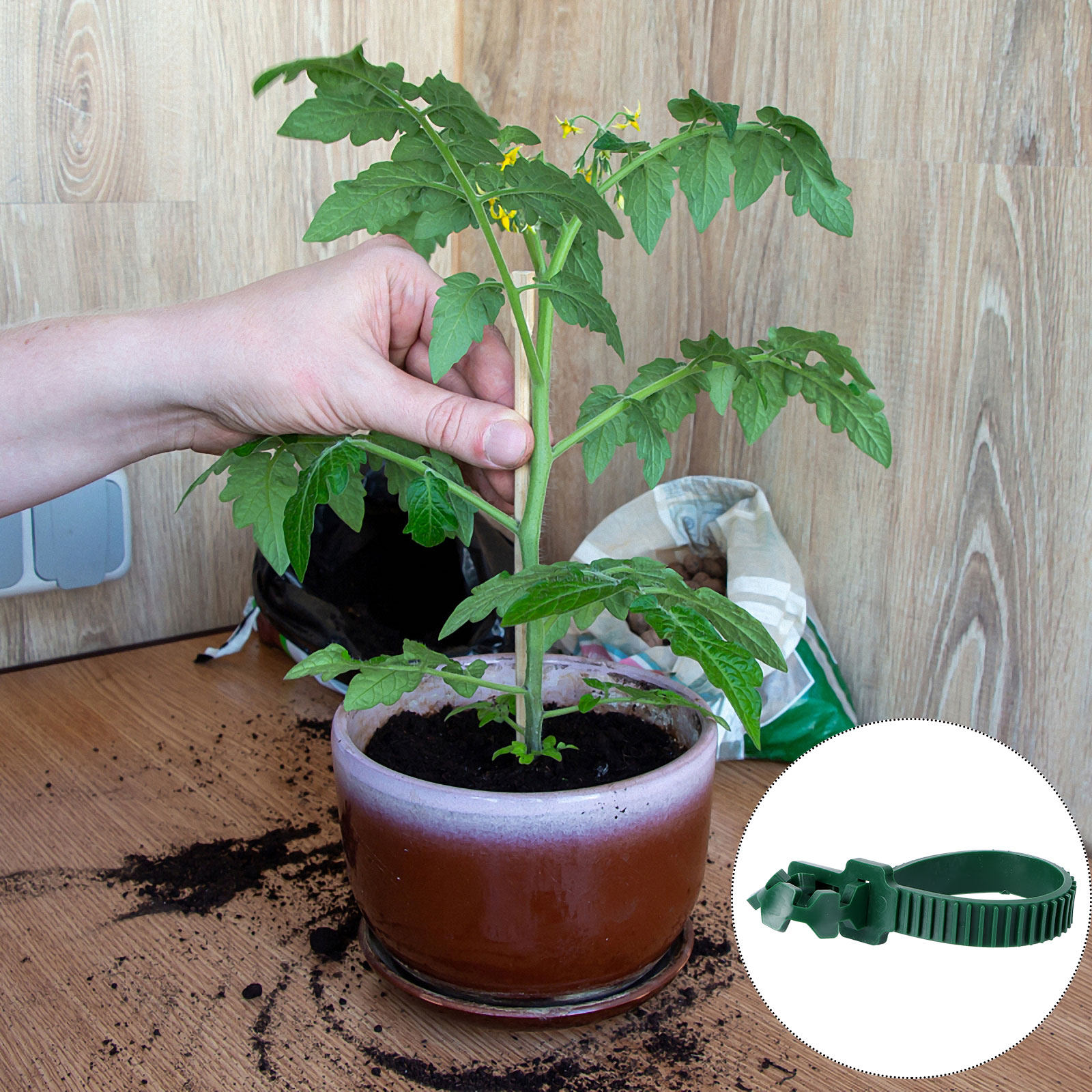 20 Piezas de Hebillas de Fijac - Bonsai Garden Plants reseña y precio