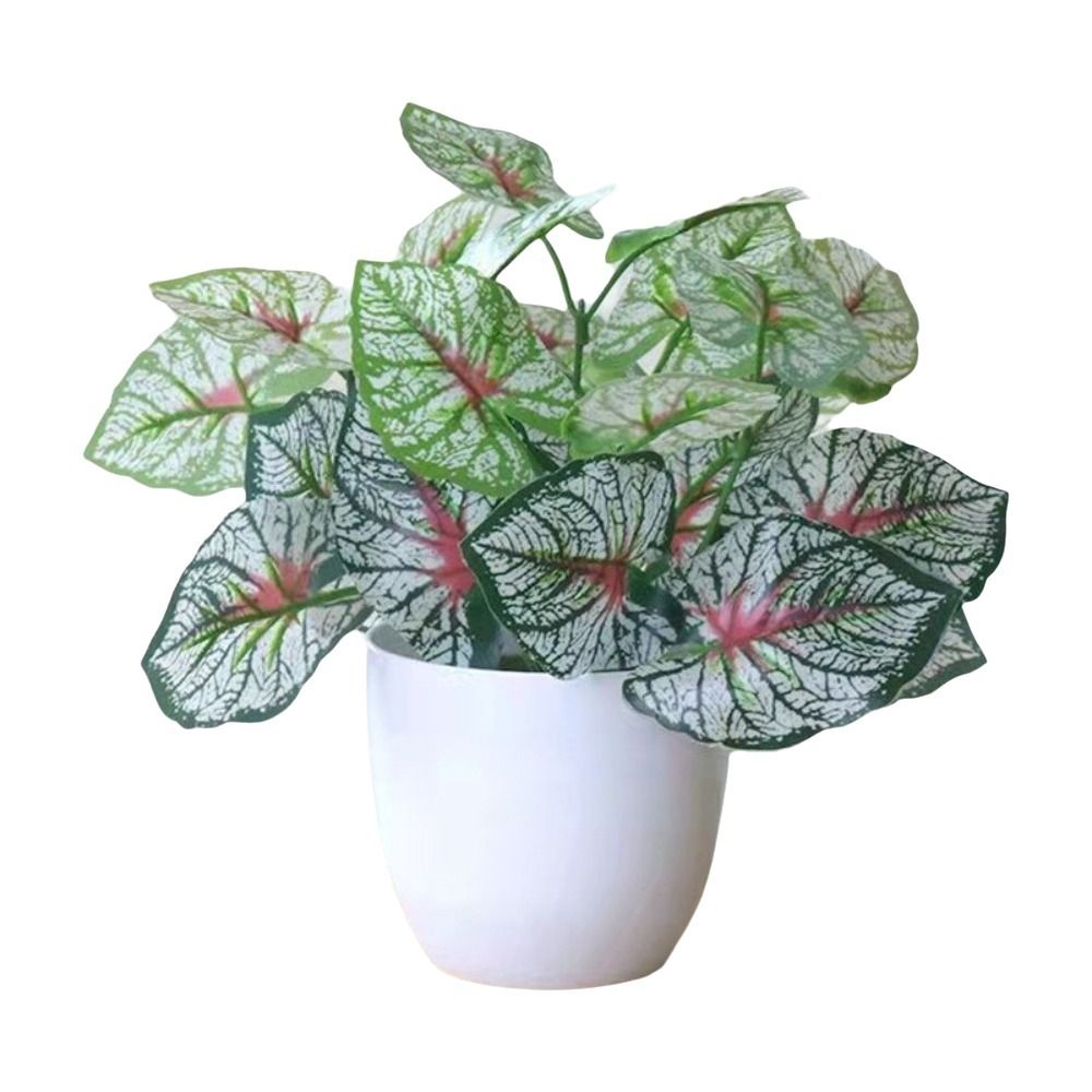 Mini Flores Artificiales en Ma - Bonsai Garden Bench reseña y precio