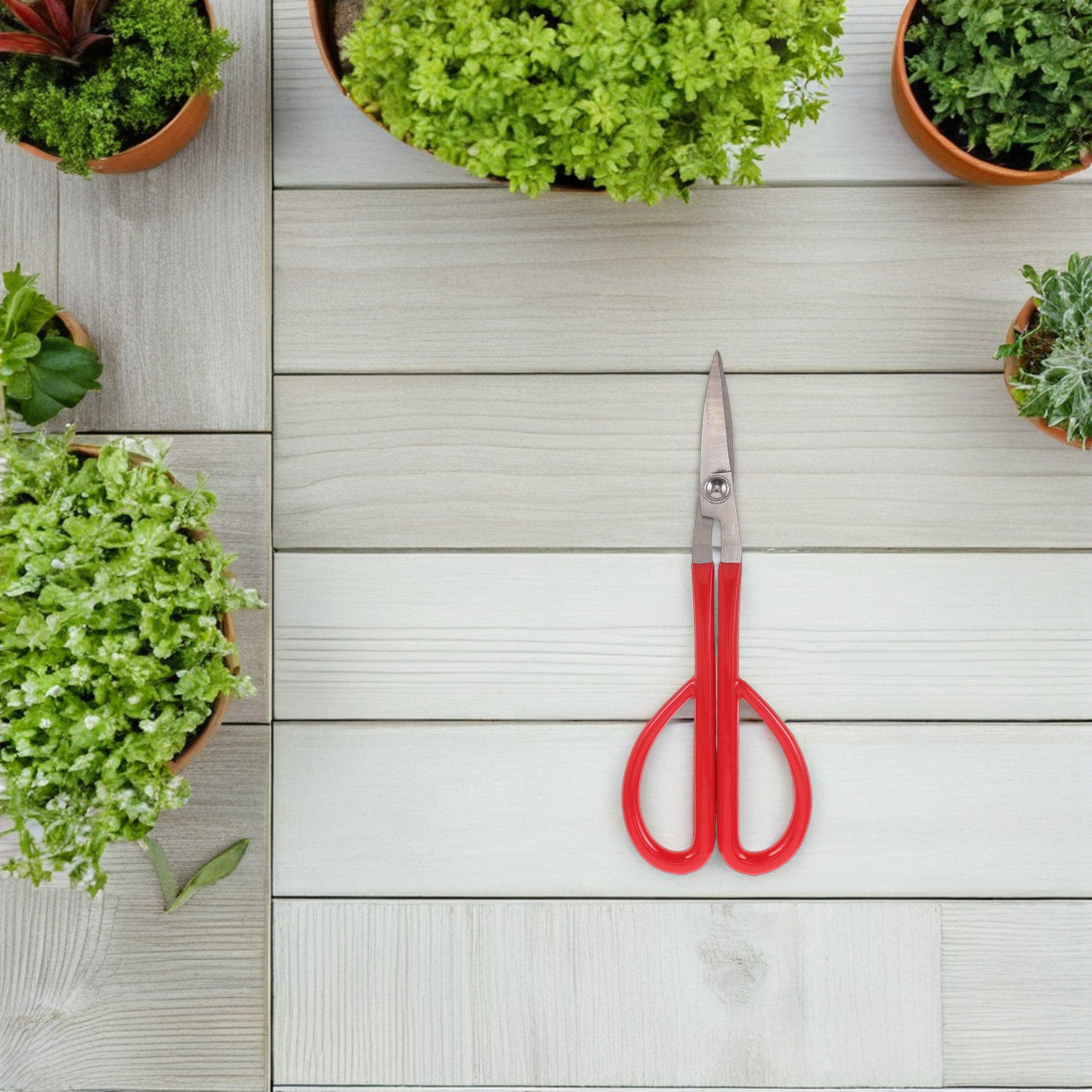 Tijeras de podar de acero inox - Bonsai Garden Knife reseña y precio