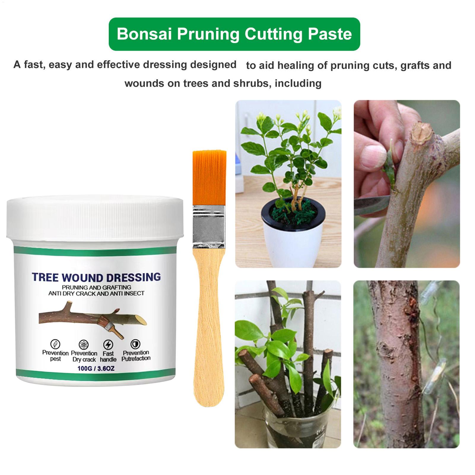 Sellador de heridas para poda  - Bonsai Garden Plants reseña y precio