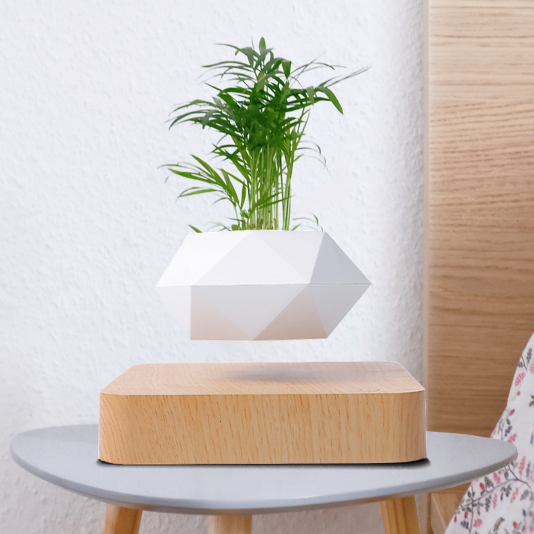 Maceta de bonsái con efecto de - Bonsai Garden For Desk reseña y precio