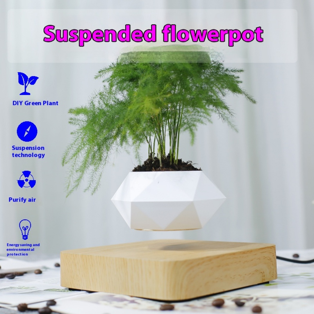 Maceta de bonsái con efecto de - Bonsai Garden For Desk reseña y precio